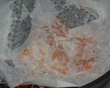 サゴシと牛蒡のキムチ煮作り方4写真