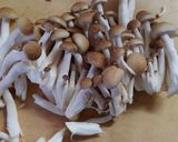 簡単ヘルシー！なめこと蒟蒻 小松菜の煮物作り方1写真