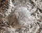 バレンタインに、チョコ苺大福作り方5写真