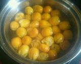 煮きんかん×チョコソース作り方4写真