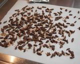 クコの実チョコ作り方3写真