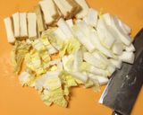5分で簡単！白菜と厚揚げのささっと炒め♬作り方1写真