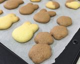 ＊簡単＊アイスボックスクッキー作り方12写真