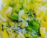 春キャベツのじゃこ和え作り方4写真