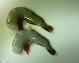 海老素麺作り方4写真
