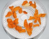 簡単がん予防☆食品乾燥機で陳皮みかんの皮作り方7写真