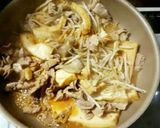 厚揚げ もやし 豚肉のピリ辛煮♡作り方3写真