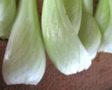 青梗菜巻き「フライパンシューマイ♪」作り方3写真