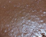 フルーツたっぷりチョコロールケーキ作り方3写真