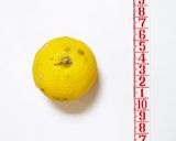 さといものゆず煮作り方9写真