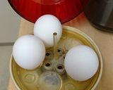 白菜と卵のサラダ作り方1写真