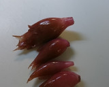ワカメとみょうが酢漬けの酢の物作り方1写真