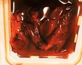 ホタルイカ沖漬け アレンジ作り方1写真