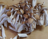 鶏ささみとチンゲン菜の和風さっぱり煮☆作り方1写真