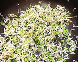 簡単!大根葉としらすのふりかけ作り方3写真