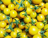 トマト寒天(イエロー)作り方1写真