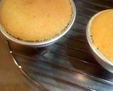 チーズぷりんnoにゃんこケーキ作り方17写真