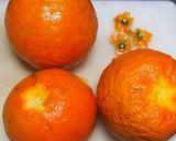 元気がもらえる　たんかんマーマレド　作り方1写真