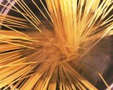 簡単☆山菜パスタ作り方1写真