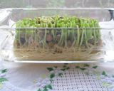 菜っぱとお揚げさんの炊いたん作り方2写真