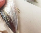 下処理手順付き☆簡単小アジの南蛮漬け作り方4写真