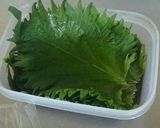 長期保存！大葉の醤油漬け作り方4写真