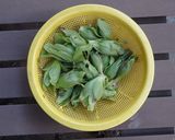 蕗味噌作り方1写真