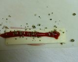 ☆子供喜ぶハムチーズ春巻き☆作り方2写真