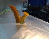立体ご飯・サックス作り方3写真