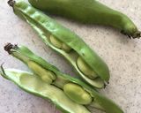 失敗なし!簡単!そら豆の塩ゆで作り方2写真