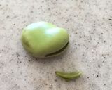 失敗なし!簡単!そら豆の塩ゆで作り方4写真