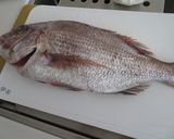 鯛の柚子昆布〆作り方1写真