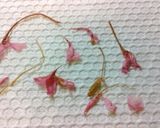 春の香り❀フワフワ桜マカロン♡作り方10写真