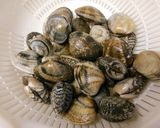 春アサリのだし醤油汁。作り方1写真