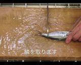 おウチで簡単・コハダの酢〆【動画あり】作り方1写真