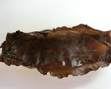 熱々を食べる♪牡蠣の昆布焼き作り方4写真