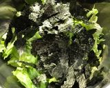 レタスと海苔だけで美味しいサラダ作り方3写真