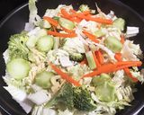 柔らか鶏肉と白菜のサッパリあんかけ！作り方4写真