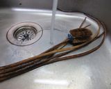 細ごぼうのみそ漬け作り方1写真