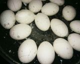 【イージースモーカー使用】半熟燻製たまご作り方3写真
