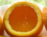 甘夏ゼリー作り方5写真
