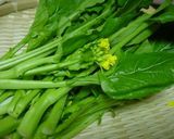 食の山梨：甲州もっちぎりサラダ盛り作り方7写真