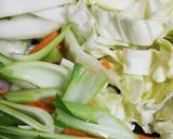 野菜たっぷり♪タンメン＊塩ラーメンで作り方1写真
