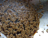 もやしとハムの中華和え作り方1写真