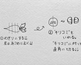 大根のアク抜き作り方1写真