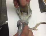 いかの下処理作り方1写真