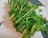 豚肩ロース薄切り　豆苗巻きフライ豆苗好き作り方2写真