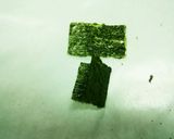 ハート海苔の飾り切り♪作り方1写真