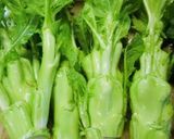 子持ち高菜/アーサイの茎の天ぷら作り方1写真