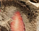 チョコクリームを食べる♡イチゴのケーキ作り方15写真